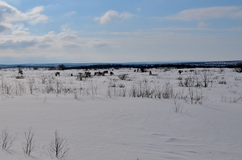Scandinavie, Norvge, Sude, Finlande